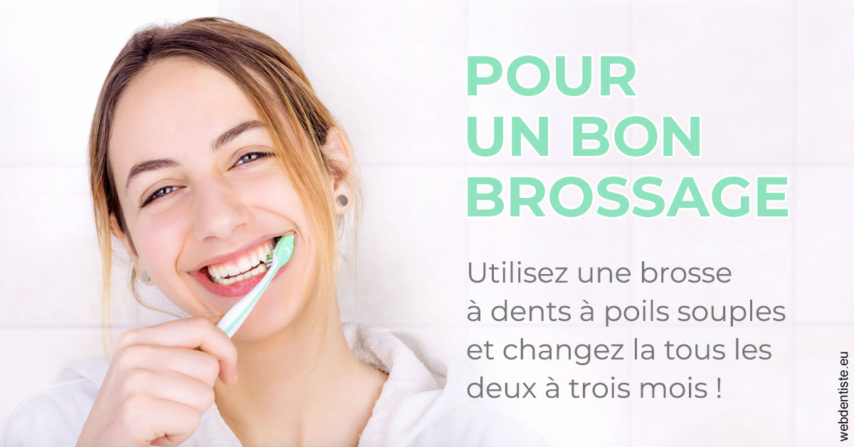 https://www.latelier-dentaire.fr/Pour un bon brossage 2