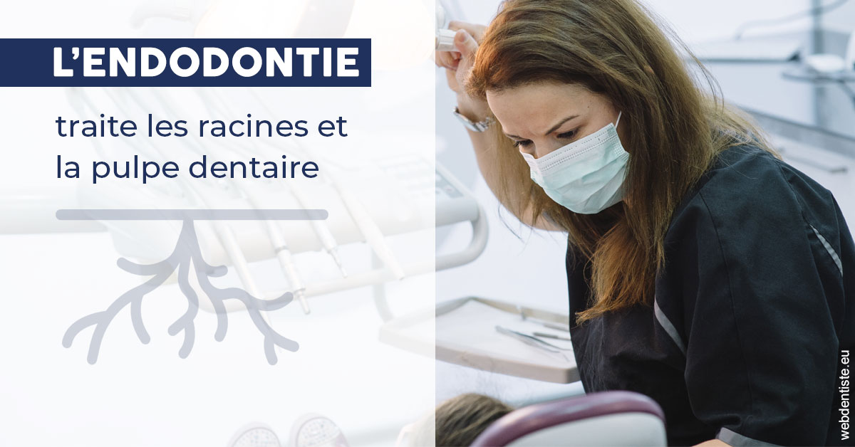 https://www.latelier-dentaire.fr/L'endodontie 1