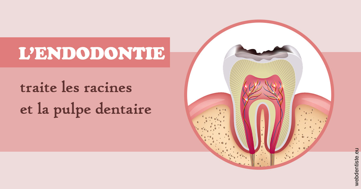 https://www.latelier-dentaire.fr/L'endodontie 2