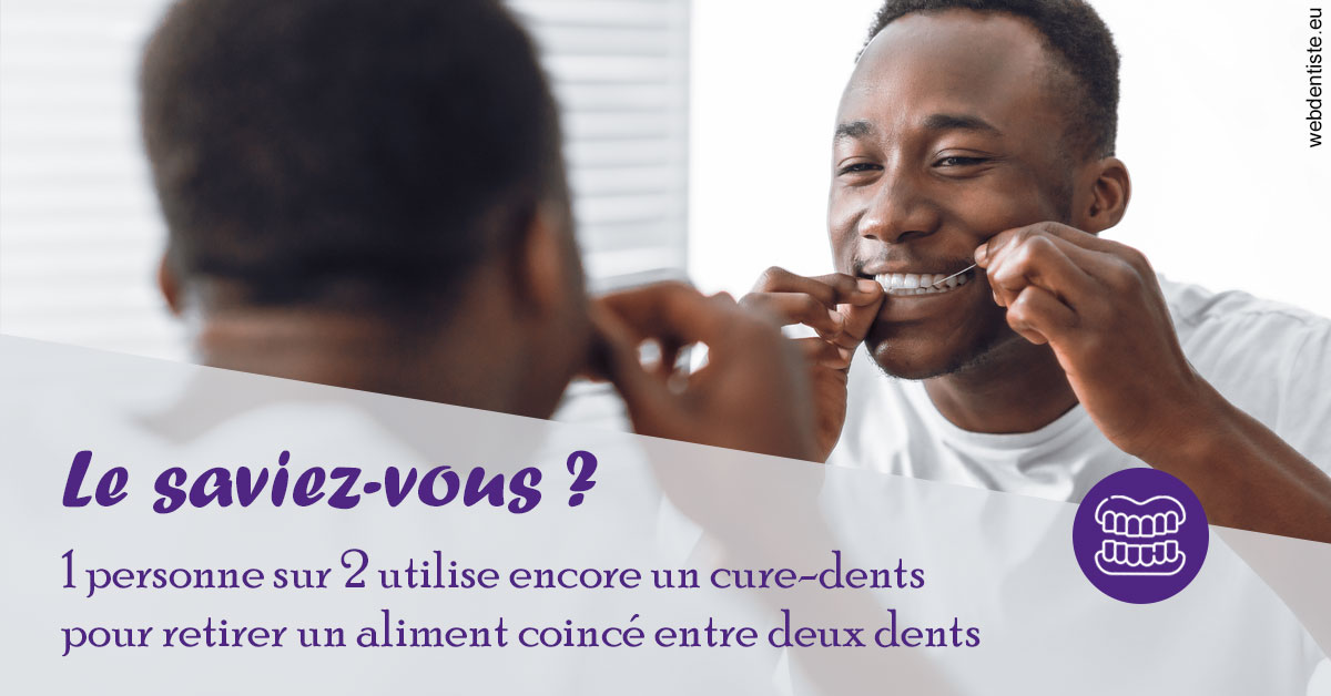 https://www.latelier-dentaire.fr/Cure-dents 2