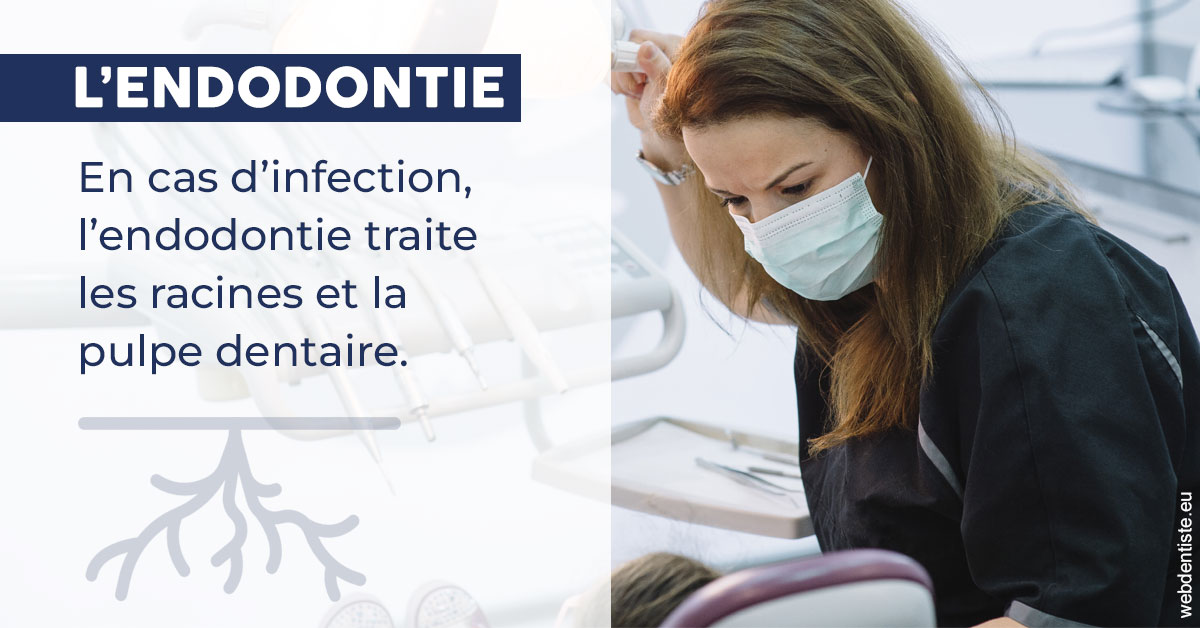 https://www.latelier-dentaire.fr/L'endodontie 1