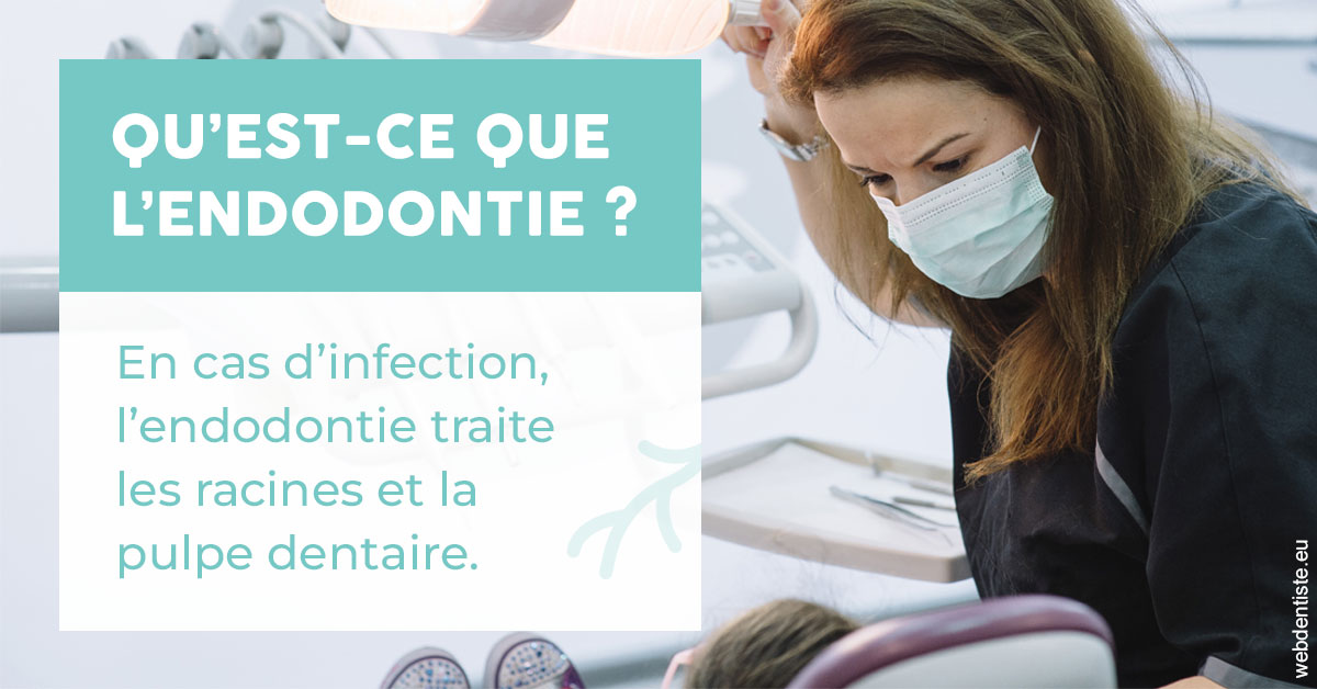 https://www.latelier-dentaire.fr/2024 T1 - Endodontie 01